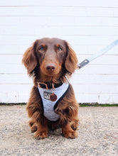 "Grey Days" City Collar