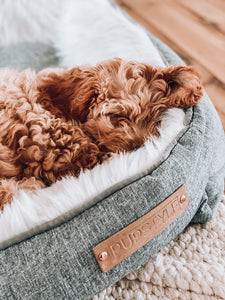 Modern Dream Calming Dog Bed