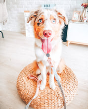 "Marble Luxe" City Leash