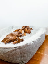 Modern Dream Calming Dog Bed